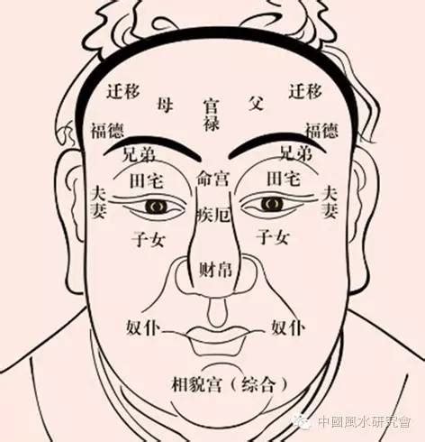 面相学|相面术入门基础二：面相总框架（麻衣相法）